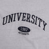 洗水VER! UNIVERSITY刺繡棉質短袖TEE[四色]